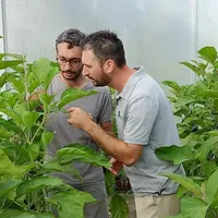 Un technicien de Terres du Sud et un producteur de fruits et légumes, dans une serre.