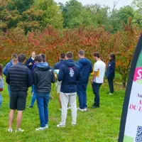 Des jeunes en visite dans un verger de la coopérative Sicoly.