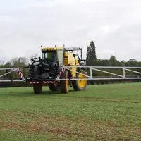 Traitement herbicide sur colza en post-levée contre adventices et repousses de céréales à l'automne en Vendée, le 3 octob