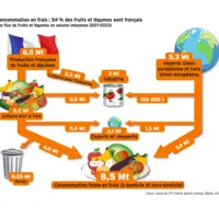 Infographie. La production française de fruits et légumes (hors pommes de terre) s’élève à 8,5 millions de tonnes (Mt) en moyenne sur la période 2021-