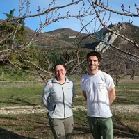 <em class="placeholder">Lucie et Clément Tourre, arboriculteurs à Bellecombe-Tarendol dans les Baronnies provençales, en Drôme, ici dans un verger d&#