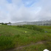 Tests de couverts végétaux dans le cadre du projet Minima.