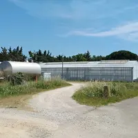 Serre d'expérimentation du CTIFL à Balandran.