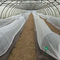 Essai de culture de tomate en tunnel nantais avec voile P17 dans les Pyrénées-Orientales.