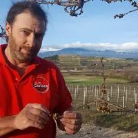 Jean-Christophe Neyron, président de l’AOP Cerises de France, dans un verger.