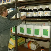 Un agriculteur de profil fouille dans son local de produits phytosanitaires.