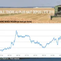 évolution du prix du blé rendu Rouen enre 2017 et 2019