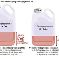 Part de la RPD dans un programme phytosanitaire sur blé