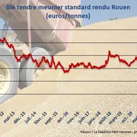 le prix du blé rendu Rouen au plus haut depuis 2012