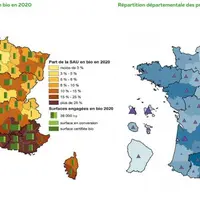 cartes agence bio surfaces 2020