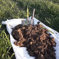 prélèvement sol avec une bêche
