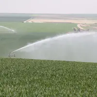 irrigation