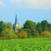 Les infrastructures agroécologiques non productives (haies, mares...) devront représenter 4 % de la SAU pour toucher les aides PAC, ou 3 % si l'on y a