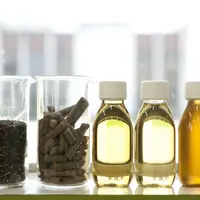 La performance de Saipol s’explique par « la transformation du modèle industriel du groupe », au succès de l’Oléo100,et à la flambée des cours de l'hu