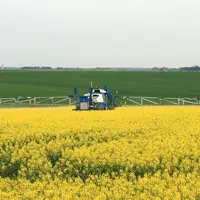 « la confirmation et la mise en évidence de présomptions fortes de liens entre certaines pathologies et l’exposition aux pesticides doivent orienter l
