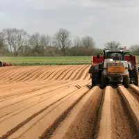 Les industriels de la pomme de terre augmentent les prix payés aux producteurs notamment dans l'objectif de limiter la baisse des surfaces.