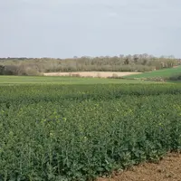 La fauche, le pâturage, ainsi que la mise en culture (sauf maïs, soja et taillis à courte rotation) des jachères sont autorisés pour la campagne 2023.