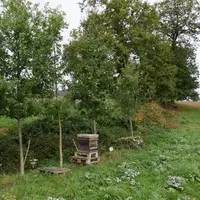 Des haies et bandes enherbées ont été installées en aval des parcelles pour protéger les cours d'eau. © C. Gloria