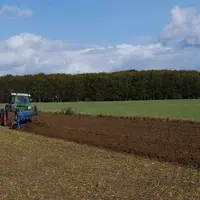 Malgré le labour, la vie du sol et la matière organique seront préservés si des apports de produits organiques sont réalisés régulièrement. © C. Bauda