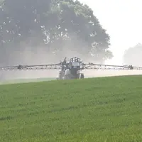 En cas de faible risque de maladie, même des agriculteurs ayant une aversion modérée aux pertes peuvent refuser de se contenter d’un seul traitement.