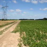 Le soja a dépassé les 160 000 hectares en 2019 et il s'étend vers le nord de la France. © C. Gloria