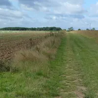Le broyage des bords de chemin est à éviter durant le printemps et l'été pour préserver sa faune et sa flore. © Hommes et Territoires