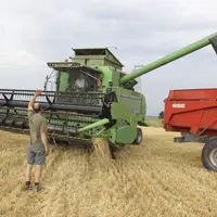 En valorisant l'agriculture, la crise pourrait redonner de l'attrait à des métiers qui manquent structurellement de candidats. © J.-C. Gutner