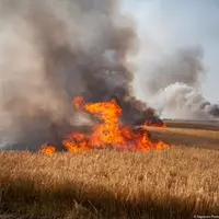 Faciliter la coordination des manœuvres entre pompiers et agriculteur sera l'un des défis à relever pour limiter l'ampleur des incendies. © Y.-A. ...