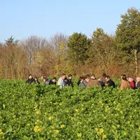 De plus en plus, les formations jouent la complémentarité entre les échanges de groupe et le travail à distance, où chacun peut avancer à son rythme.