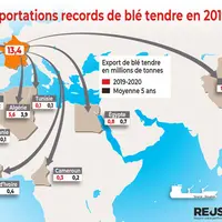 Les exportations de blé tendre français ont bénéficié en 2019-2020 de flux très importants vers la Chine totalement inédits, et ont regagné des parts