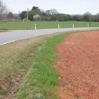 En agriculture de conservation des sols et en semis direct, le glyphosate pourrait être autorisé avec une limitation de dose. © Arvalis