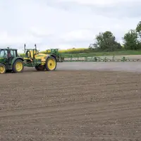 Divers herbicides d'automne sont restreints d'utilisation sur les sols drainés qui représentent 30 % des cultures de céréales en France. © C. Watier