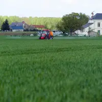 Par défaut, la zone non traitée s’établit à partir de la limite de propriété du riverain et non à partir de ses bâtiments.  © C. Watier