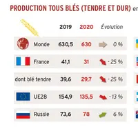 La production mondiale tous blés (hors Chine) est stable par rapport à l'an passé, écartant le risque de bilan mondial très déficitaire.