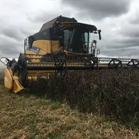La filière féverole s'est construite sous l'impulsion de céréaliers désireux de diversifier leurs cultures pour des raisons agronomiques et environnem