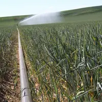 Décaler l'utilisation de l'eau de l'été vers le printemps est l'une des pistes pour composer avec un accès à l'eau de plus en plus contraint pendant l