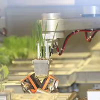 Des molécules fongicides sortent des laboratoires régulièrement, apportant des solutions efficaces contre l'évolution des maladies sur céréales.  © C.