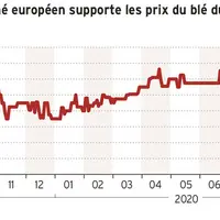 La tension sur le marché européen supporte les prix du blé dur françaisBlé dur FOB La Pallice (en €/t base juillet) © Source : FranceAgriMer.