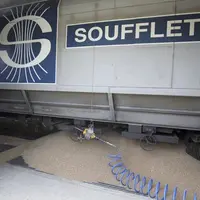 Le groupe Soufflet collecte 5,6 millions de tonnes de grains par an. © gutner  archive