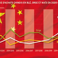 la reconstitution du cheptel porcin, mis à mal par la fièvre porcine en 2018-2020, est l’une des principales explications à l'emballement des importa