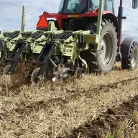 Combiné à d'autres leviers, les techniques de travail du sol simplifié permettent aux producteurs de colza et de tournesol de bénéficier d'un bonus su