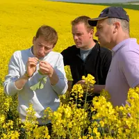 Traiter ou ne pas traiter ? Le conseil de préconisation phyto ne peut désormais plus être apporté par les coopératives et négoces qui ont décidé de ga