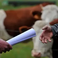 Les parlementaires veulent compenser le manque d’efficacité des outils historiques (contrôle des structures et Safer) face au développement des exploi