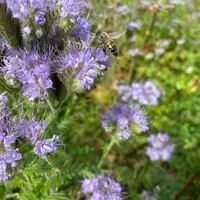 En captant le carbone, les pratiques agricoles peuvent atténuer le changement climatique. © F. Monnery