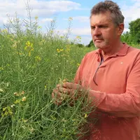Roland Berton, agriculteur à Chef-Boutonne (79)  -   "Sur mes parcelles, je suis confronté à un dilemme : semer tard pour diminuer l’impact des oroban
