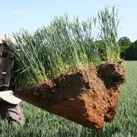 Malgré la stratification liée au non-travail du sol, restreindre le prélèvement pour analyse de sol à 10 centimètres peut entraîner une mauvaise inter