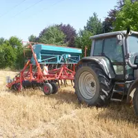 Le semis avec un outil à dents adapté procure de bons résultats sur la levée de couverts rapidement après moisson. © R. Crignon/Agro-Transfert