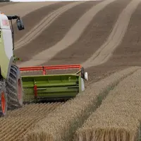 Le ration puissance/surface permet de voir rapidement si la machine est adaptée à la surface à battre. © J.-C. Gutner