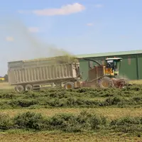 La luzerne récoltée de Tereos alimente quatre usines de déshydratation pour produire 145 000 tonnes de pellets.