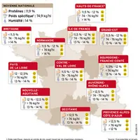 Les faibles poids spécifiques sont le principal point faible de la récolte 2021 de blé tendre en France. La teneur en protéines est en revanche satisf